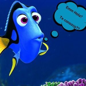 Meet your Posher, Berta